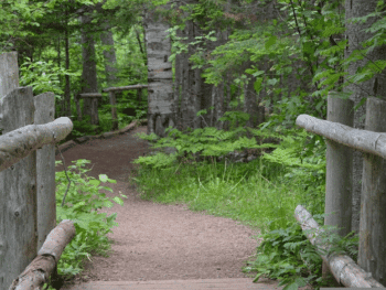 Hiking in Missouri