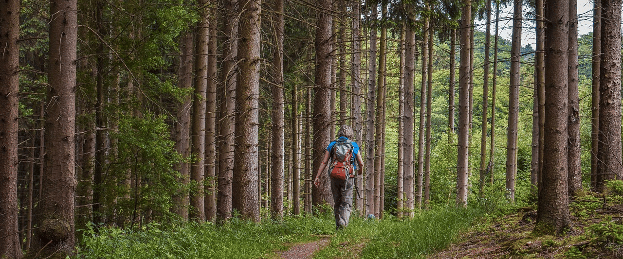 Hiking in New York