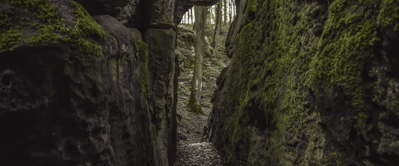 Hiking in Oregon