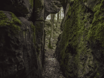 Hiking in Oregon