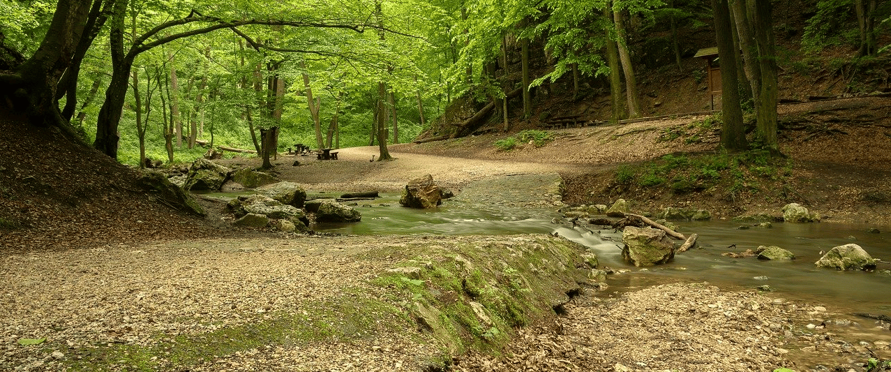 Hiking in Virginia