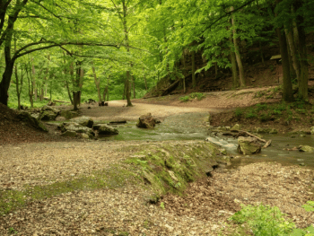 Hiking in Virginia