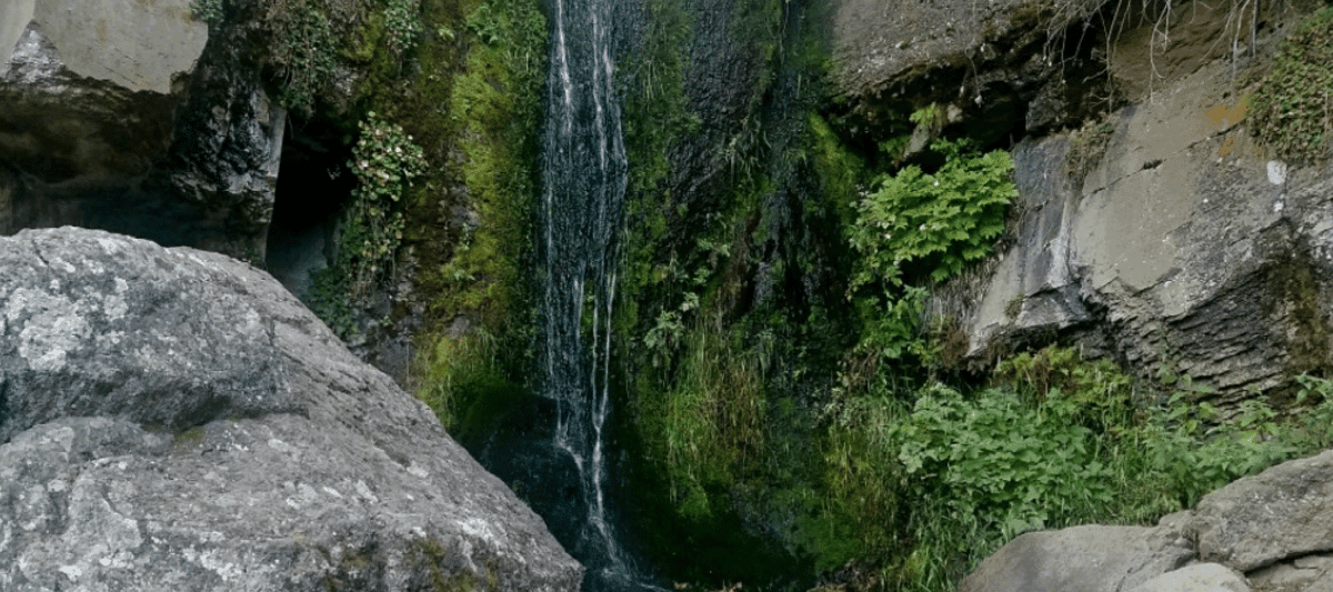 Ross Twin Falls