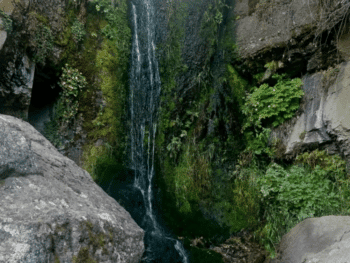 Ross Twin Falls