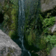 Ross Twin Falls