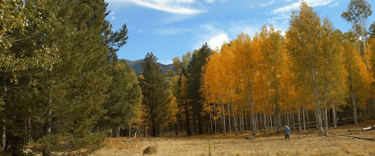 Camping in Flagstaff