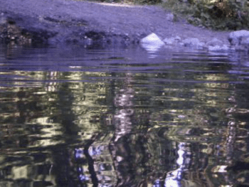 Baker Hot Springs