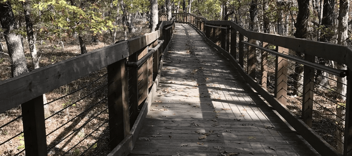 Bald Rock Trail