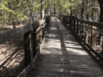 Bald Rock Trail