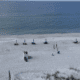 Beach Towns in Alabama