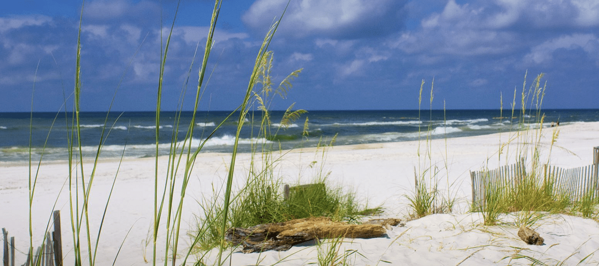 Beaches Near Huntsville