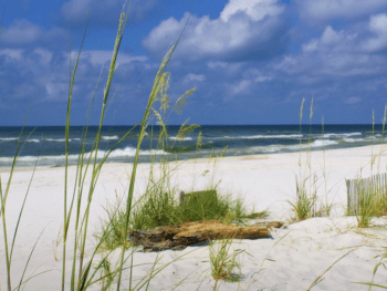 Beaches Near Huntsville