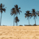 Best Beaches near Birmingham