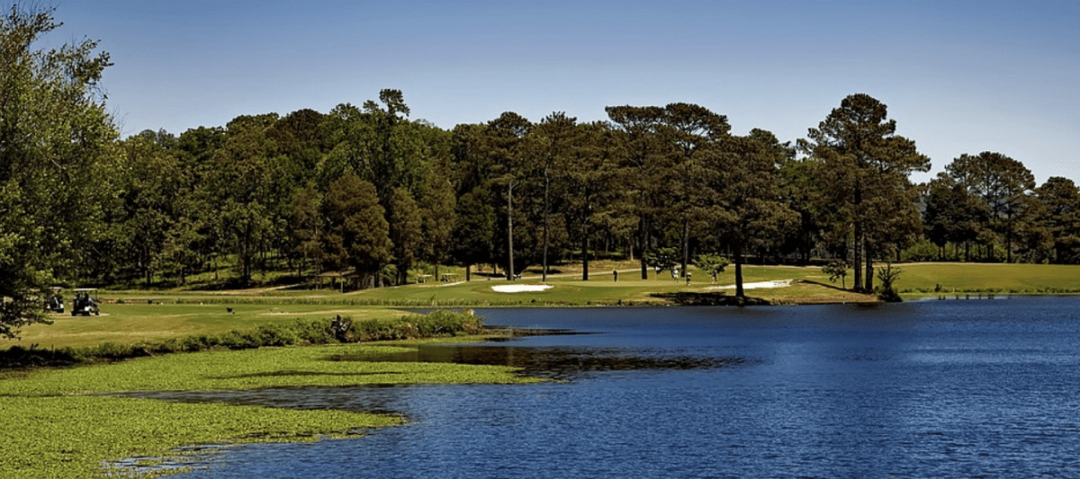 Best Parks in Auburn