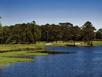 Best Parks in Auburn