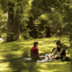 Best Parks in Birmingham