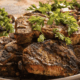 Best Restaurants in Breckenridge