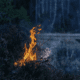 Camping in Auburn
