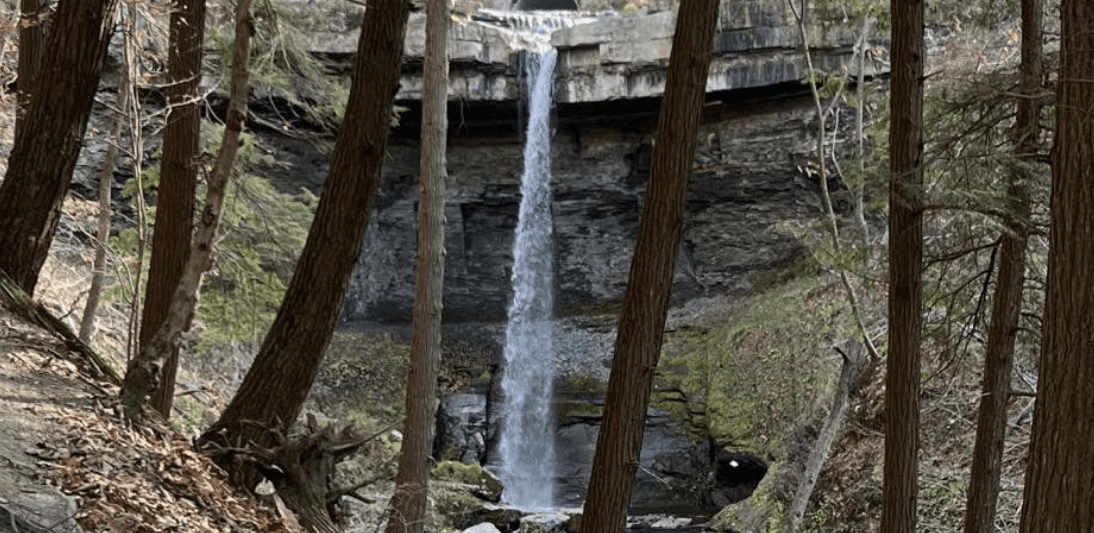 Carpenter Falls