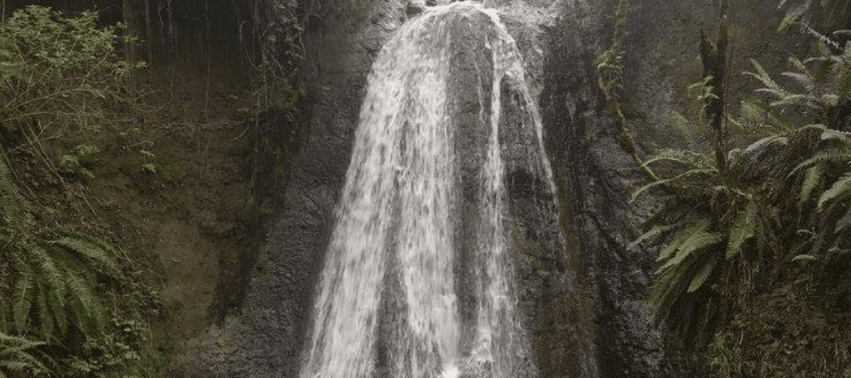 Coal Creek Waterfall