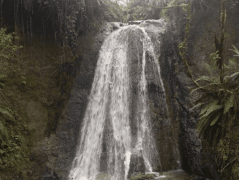Coal Creek Waterfall
