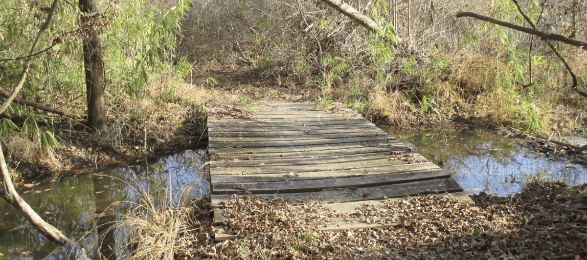 Creek Fire Trail