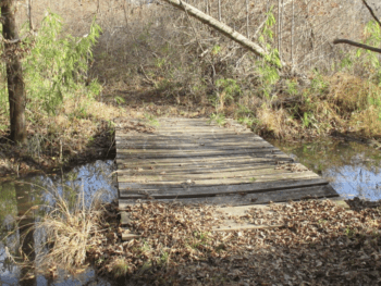 Creek Fire Trail