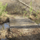 Creek Fire Trail