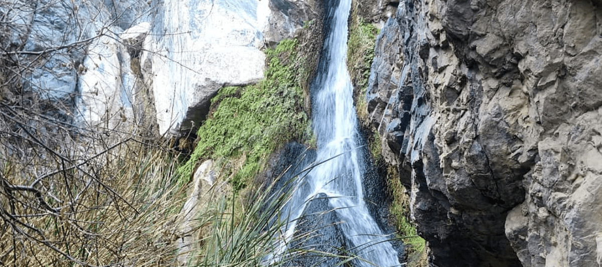 Darwin Falls