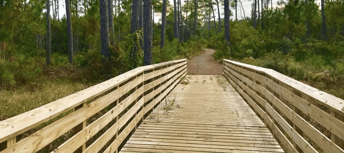 Eagle Loop Trail