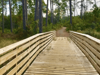 Eagle Loop Trail