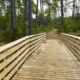 Eagle Loop Trail