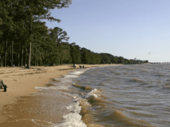 Fairhope Beach