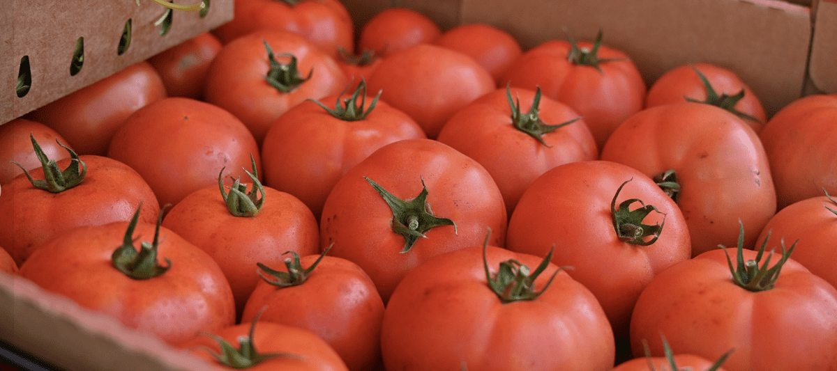 Farmers Market in Auburn