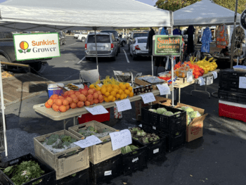 Farmers Markets in Florence