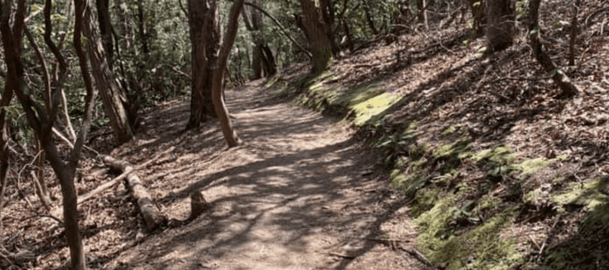 Hiking Trails in Alabaster