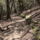 Hiking Trails in Alabaster