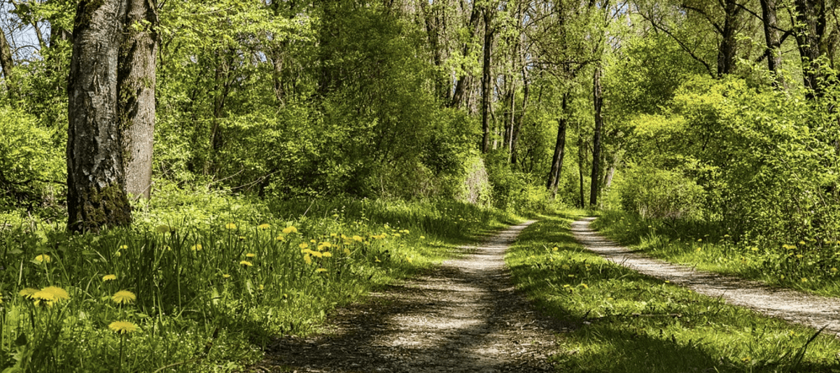 Hiking near Daphne Alabama