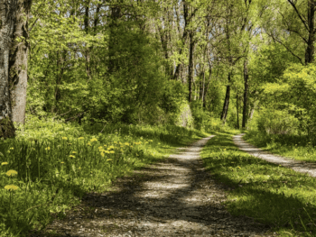 Hiking near Daphne Alabama