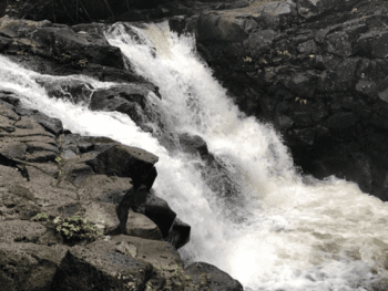 Hoopii Falls