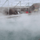 Jackson Hot Springs
