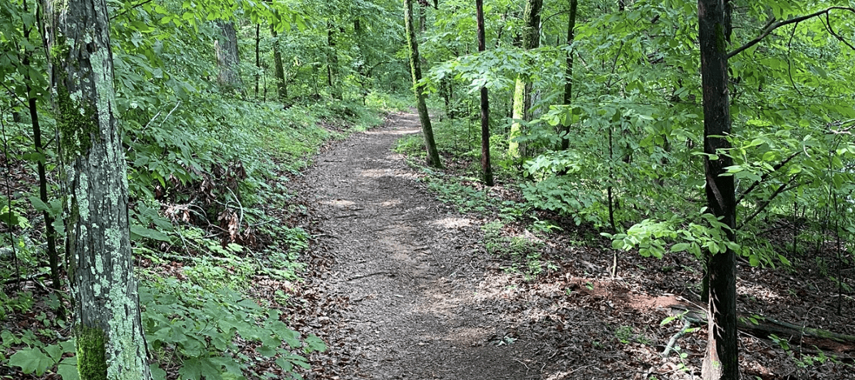 Jimmy Sims Birding Trail
