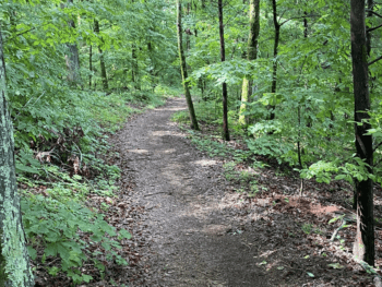 Jimmy Sims Birding Trail