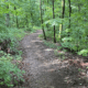 Jimmy Sims Birding Trail