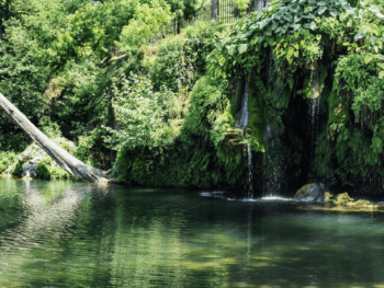 Krause Springs
