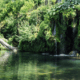 Krause Springs