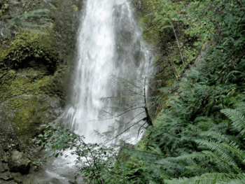 Marymere Falls