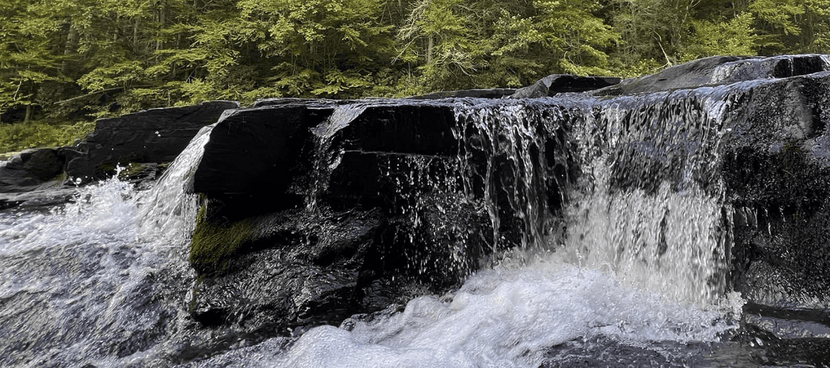 Neversink Falls