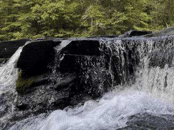 Neversink Falls