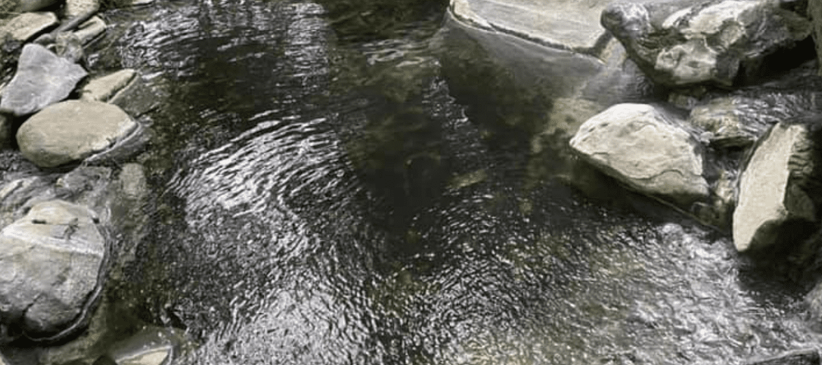 Olympic Hot Springs